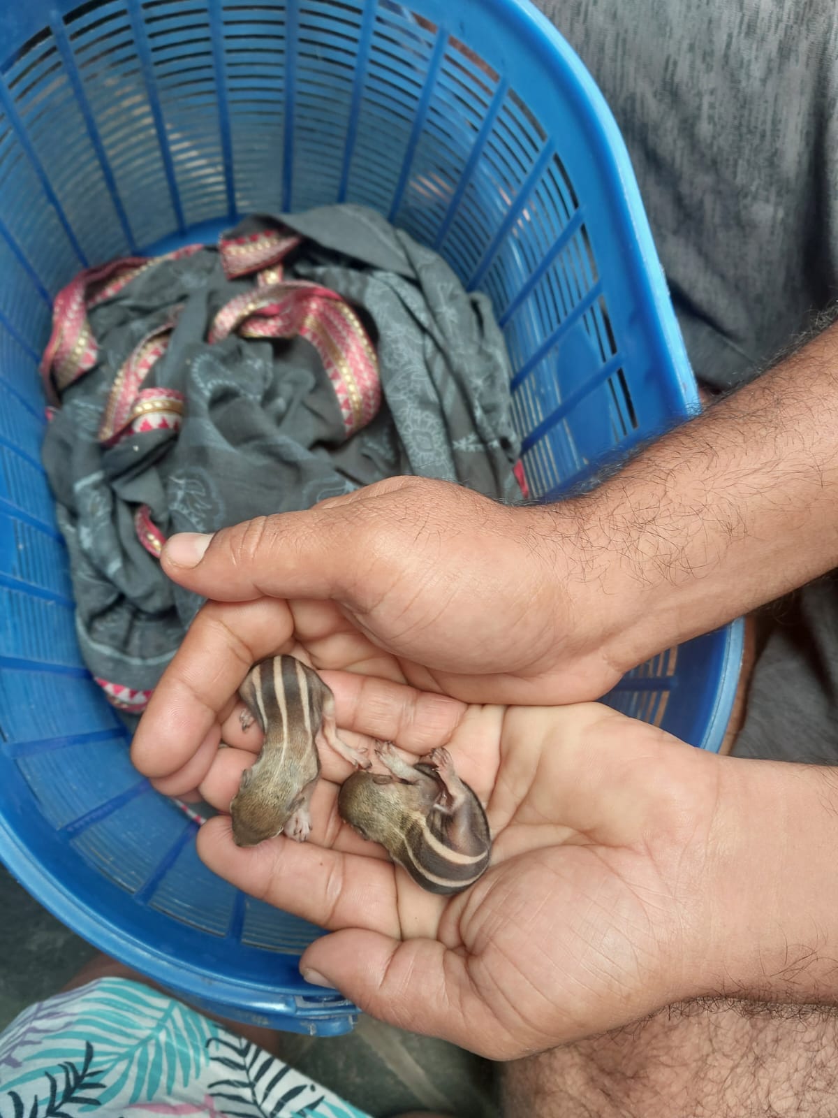 Akdu Pakdu - Even Small Things Matter - Sharanya Earth Foundation